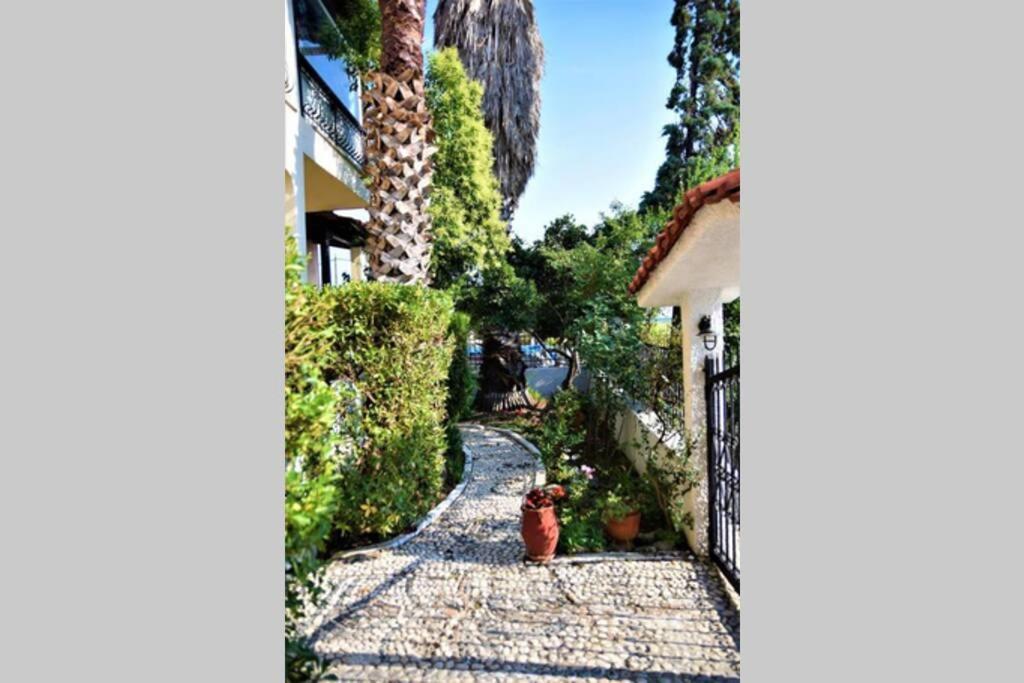 Calma Luxury Apartments #1 Sozopoli In Halkidiki Esterno foto